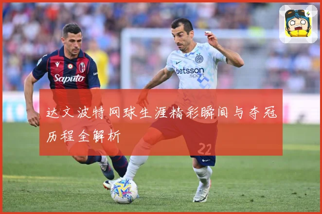 达文波特网球生涯精彩瞬间与夺冠历程全解析