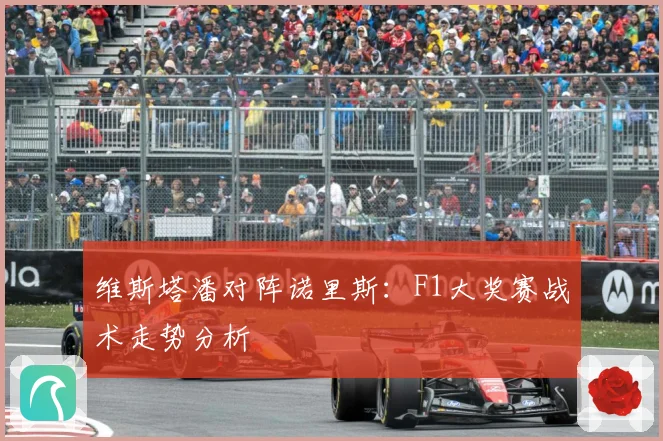 维斯塔潘对阵诺里斯：F1大奖赛战术走势分析