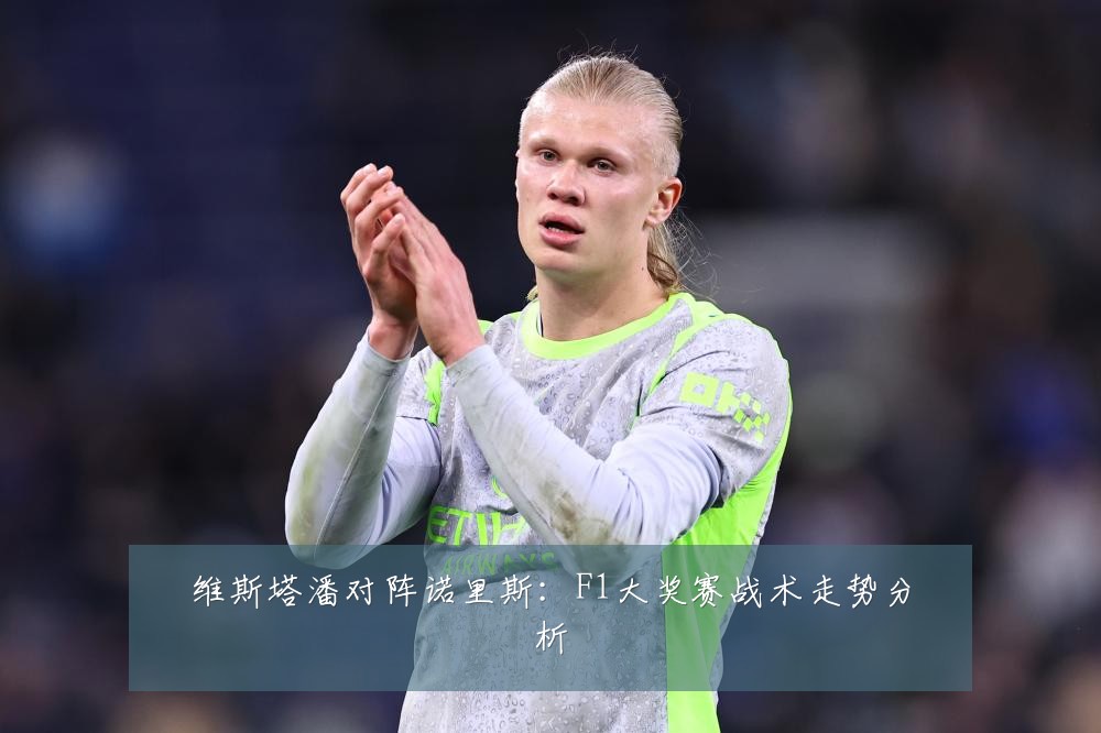 维斯塔潘对阵诺里斯:F1大奖赛战术走势分析