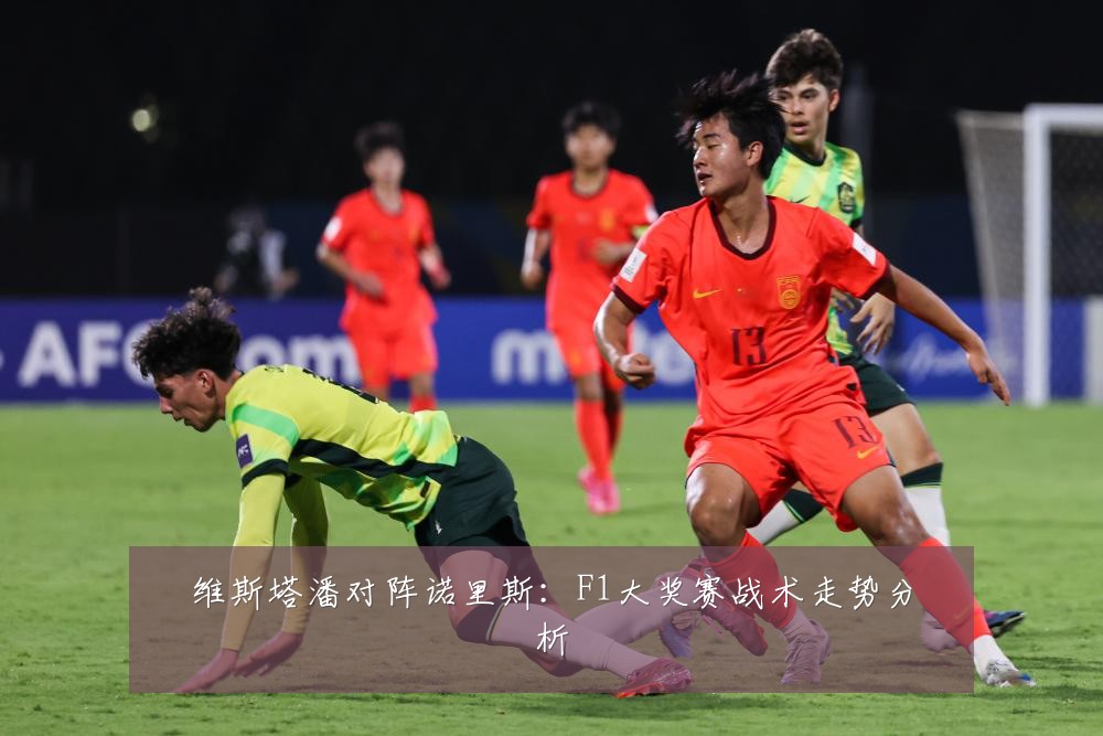 维斯塔潘对阵诺里斯:F1大奖赛战术走势分析